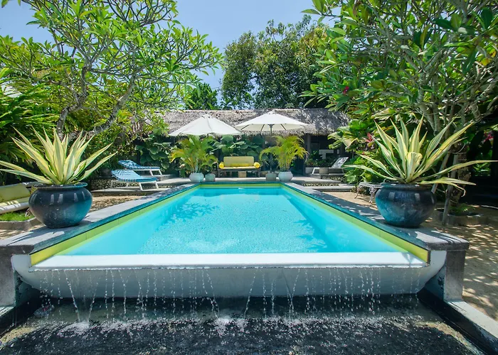 Oasis Bali Guest house Canggu (Bali)
