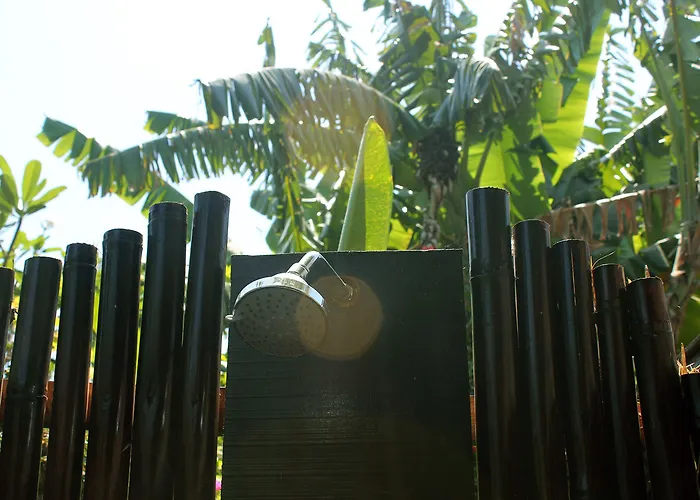 Oasis Bali