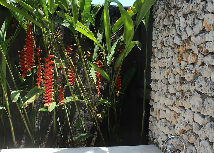 Oasis Bali Guest house Canggu (Bali)