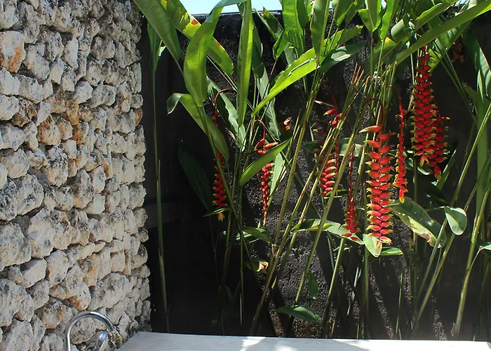 Oasis Bali