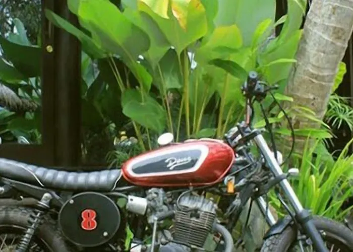 Oasis Bali 3*