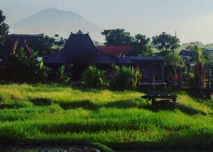 Oasis Bali 3*