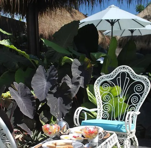 Oasis Bali Canggu (Bali)